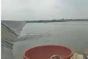 南美白对虾生长缓慢、偷死,检测出传染性皮下与造血器官坏死病毒一例