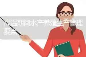 高温期间水产养殖生产管理要点