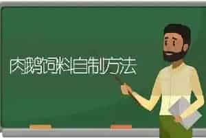 肉鹅饲料自制方法