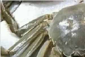 大闸蟹死了还能吃了吗？