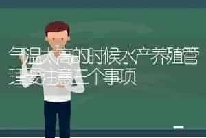 气温太高的时候水产养殖管理要注意三个事项