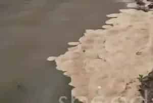 池塘底质是水产养殖成功的晴雨表