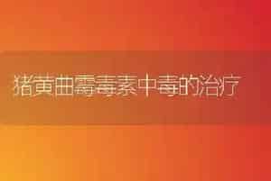 猪黄曲霉毒素中毒的治疗