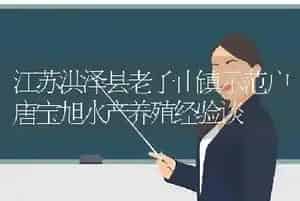 江苏洪泽县老子山镇示范户唐宝旭水产养殖经验谈