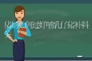 猪场如何过好哺乳仔猪补料关