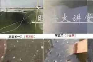 黑鱼生鱼黑芝麻培育技术要点详解