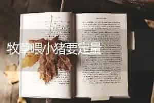 牧草喂小猪要定量