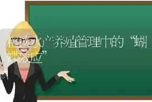 粗谈水产养殖管理中的“蝴蝶效应”