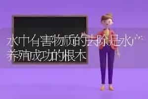 水中有害物质的去除是水产养殖成功的根本