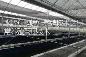 水蛭(蚂蝗)养殖技术之日常养殖管理技术