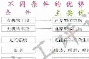 水产养殖户怎么用菌才能达到以菌抑菌的目的?