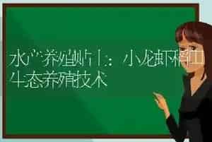 水产养殖贴士：小龙虾稻田生态养殖技术