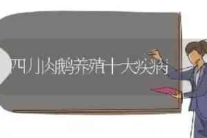 四月肉鹅养殖十大疾病