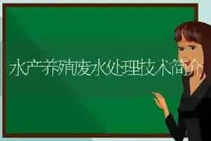 水产养殖废水处理技术简介