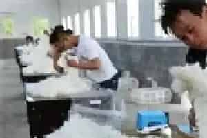 促进长毛兔养殖前景的措施