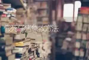假死仔猪急救方法