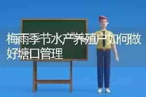 梅雨季节水产养殖户如何做好塘口管理