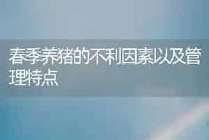 春季养猪的不利因素以及管理特点