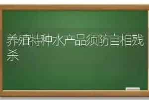 养殖特种水产品须防自相残杀