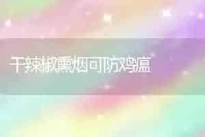 干辣椒熏烟可防鸡瘟