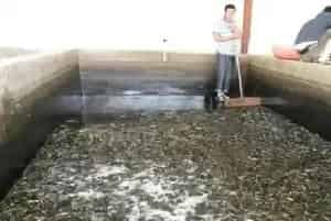 秋冬季节水产养殖户常用的四种暂养方法