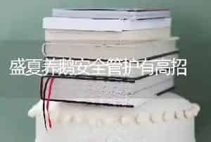 盛夏养鹅安全管护有高招