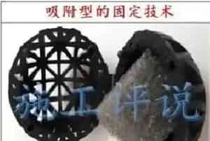 微生物在水产养殖过程中的创新想法分享的后续：关于固定微生物交流