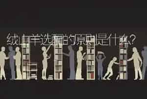 绒山羊选配的原则是什么?
