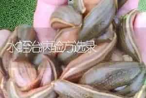 水蛭治病验方选录