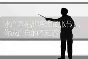 水产养殖池塘改底那点事,你或许真的不知道?