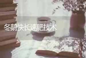 冬鹅快长速肥技术