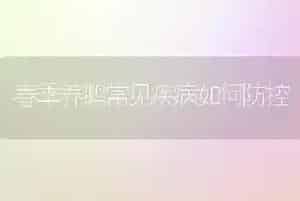 春季养鹅常见疾病如何防控