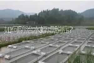 如何防治水蛭虚脱症?