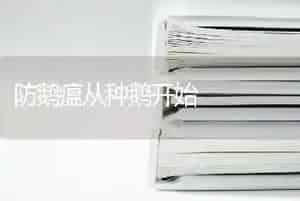 防鹅瘟从种鹅开始