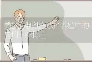 微生态制剂在水产养殖中的应用-绿博士