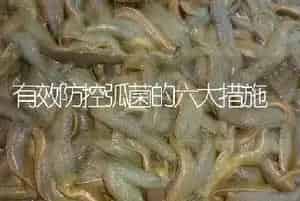 有效防控弧菌的六大措施