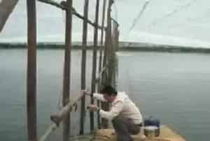水产养殖户盲目投喂的隐患和对策分析
