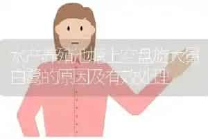 水产养殖池塘上空盘旋大量白鹭的原因及有效处理