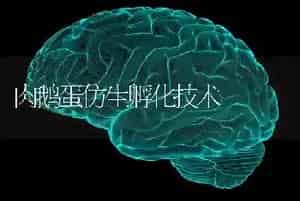 肉鹅蛋仿生孵化技术