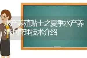 水产养殖贴士之夏季水产养殖池管理技术介绍
