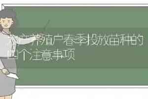 水产养殖户春季投放苗种的四个注意事项