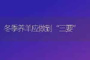冬季养羊应做到“三要”