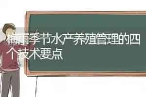 梅雨季节水产养殖管理的四个技术要点