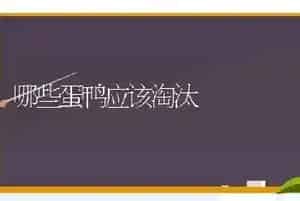 哪些蛋鸭应该淘汰