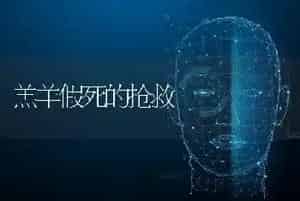 羔羊假死的抢救