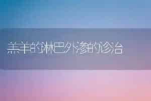 羔羊的淋巴外渗的诊治