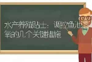 水产养殖贴士：调控鱼池溶氧的几个关键措施