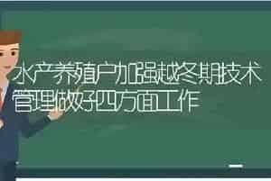 水产养殖户加强越冬期技术管理做好四方面工作
