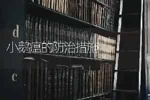小鹅瘟的防治措施