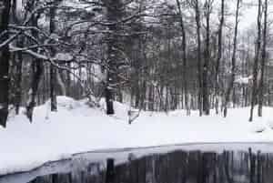 水产养殖越冬管理相关技术要点